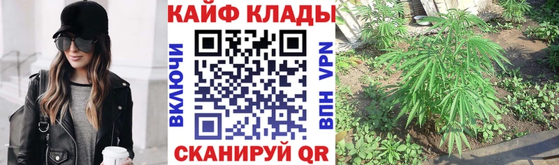 Все наркотики Пустошка Амфетамин  КОКАИН  Мефедрон  Конопля 