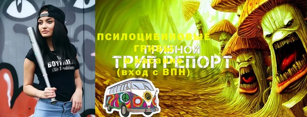 apvp Алзамай