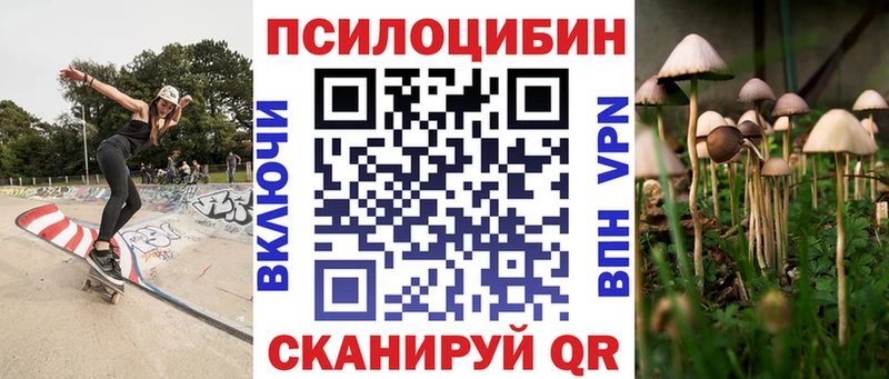 купить наркотики цена  Пустошка  Псилоцибиновые грибы ЛСД 